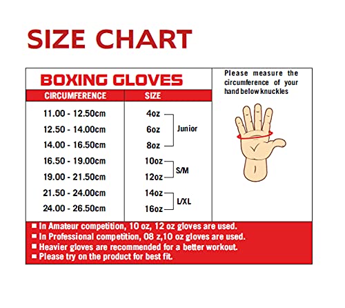 USI Boxing Glove